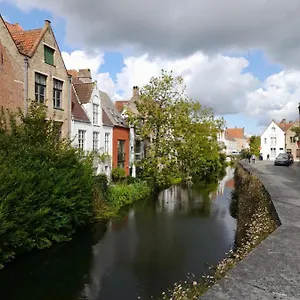 L'ane Belgique